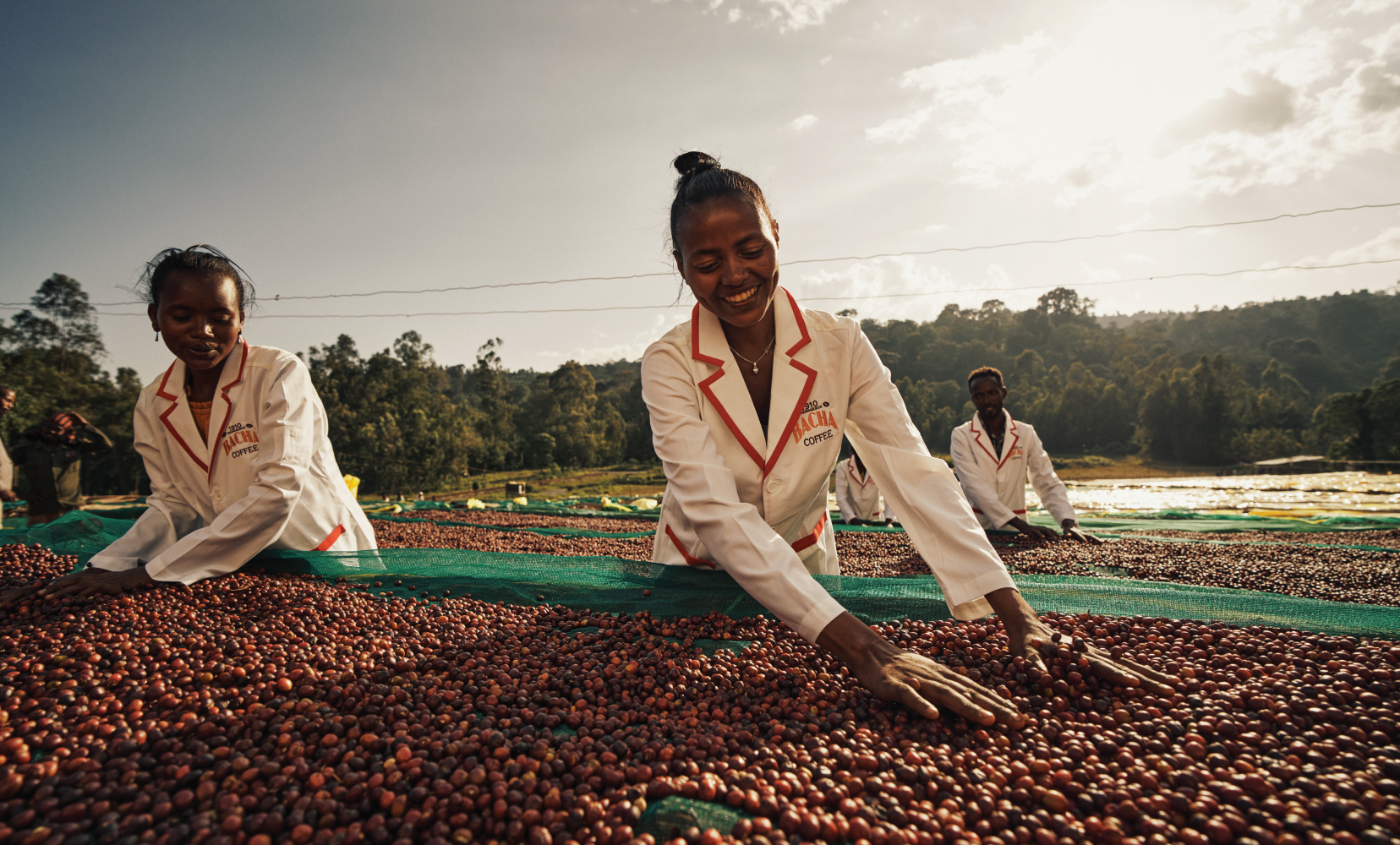 SpecialtyCoffee_BodyImage_1