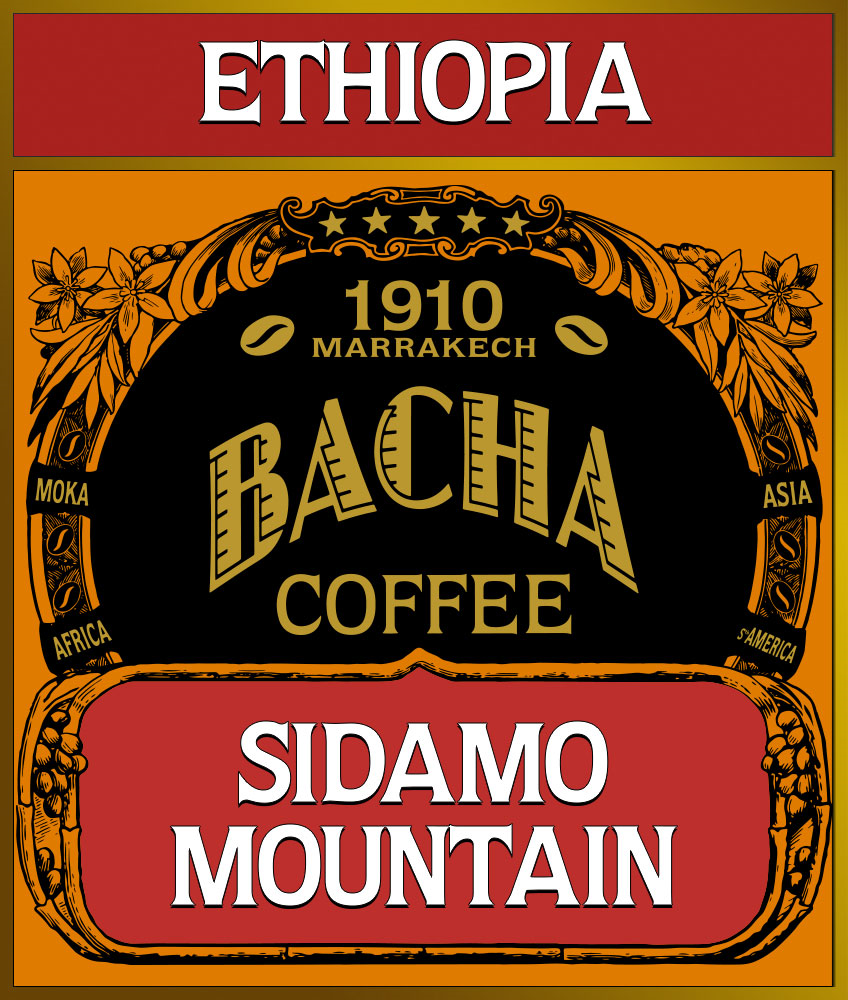 bacha-single-origin-sidamo-mountain-loose-coffee-beans